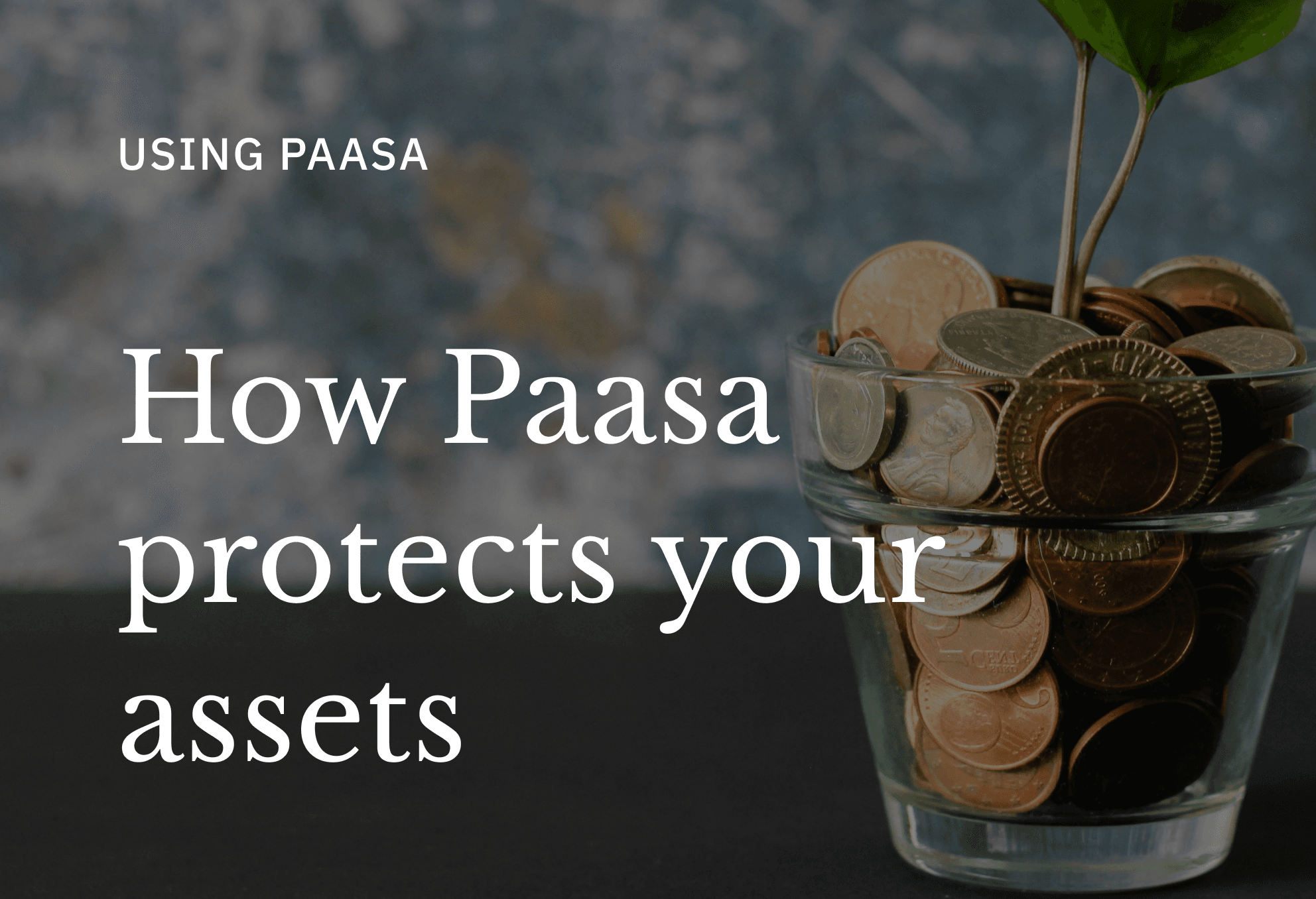 How your money is held and protected with Paasa
